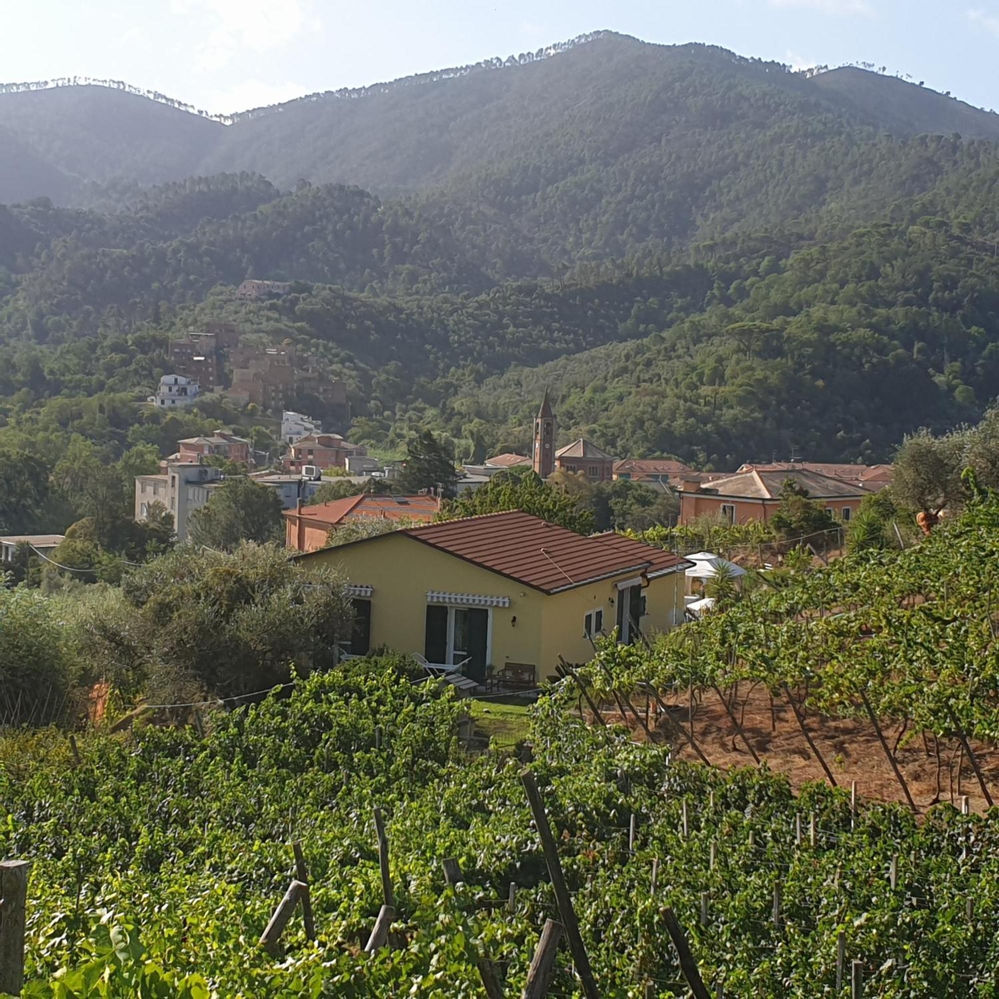 Farm stay La Collina Levanto