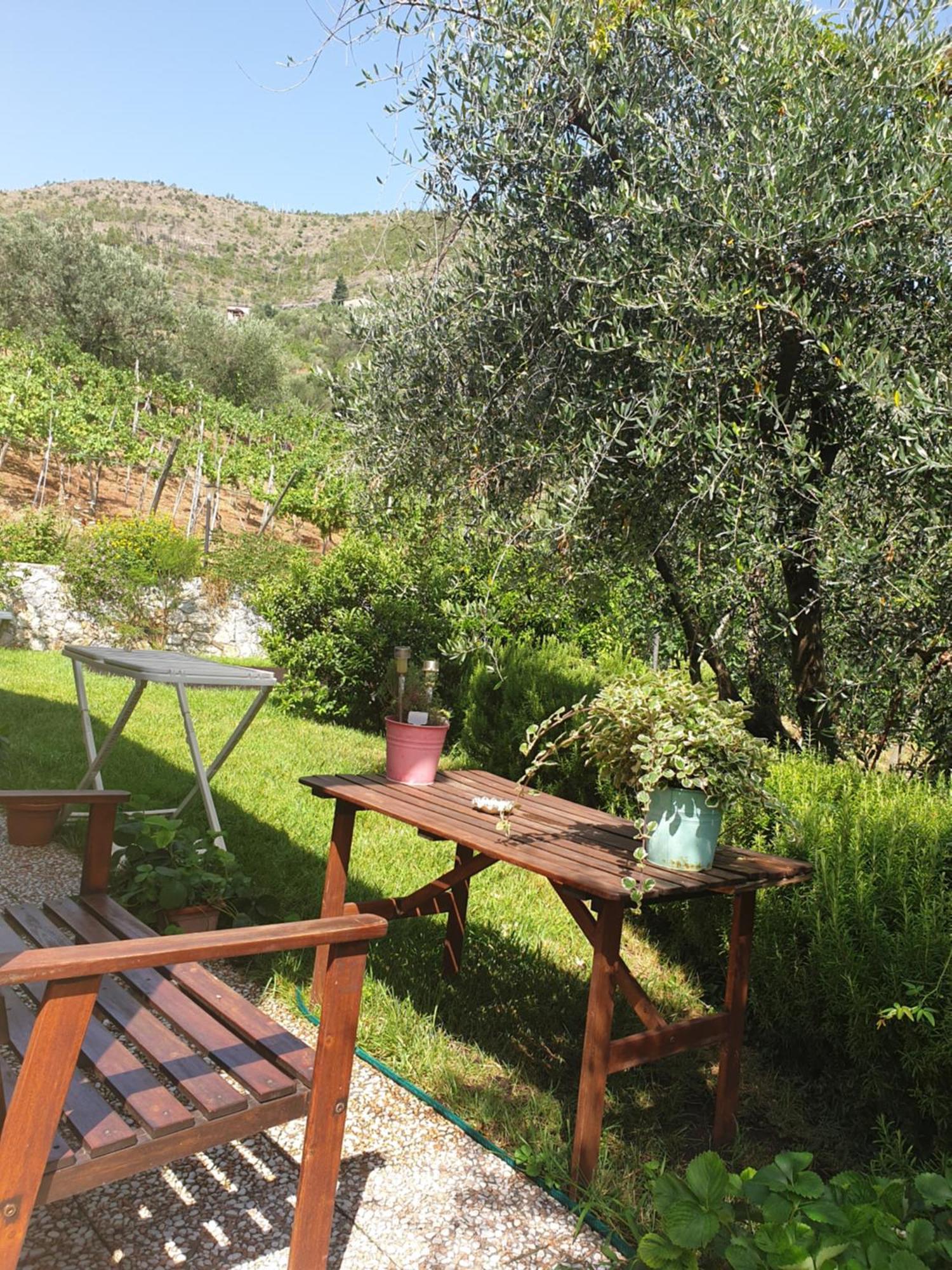 La Collina