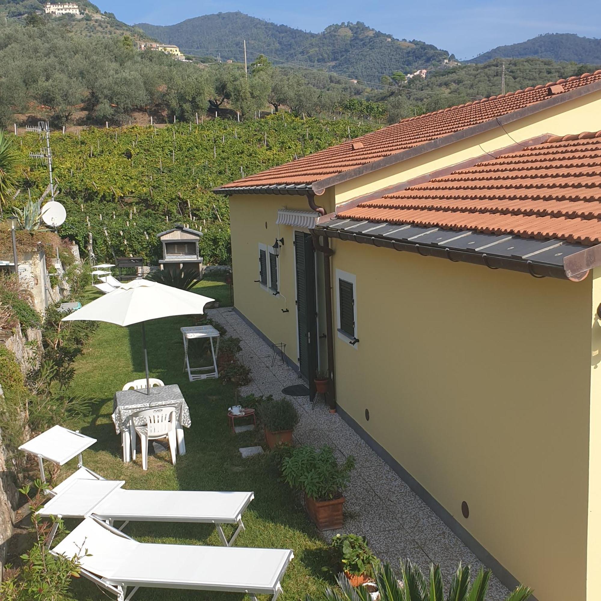 La Collina *