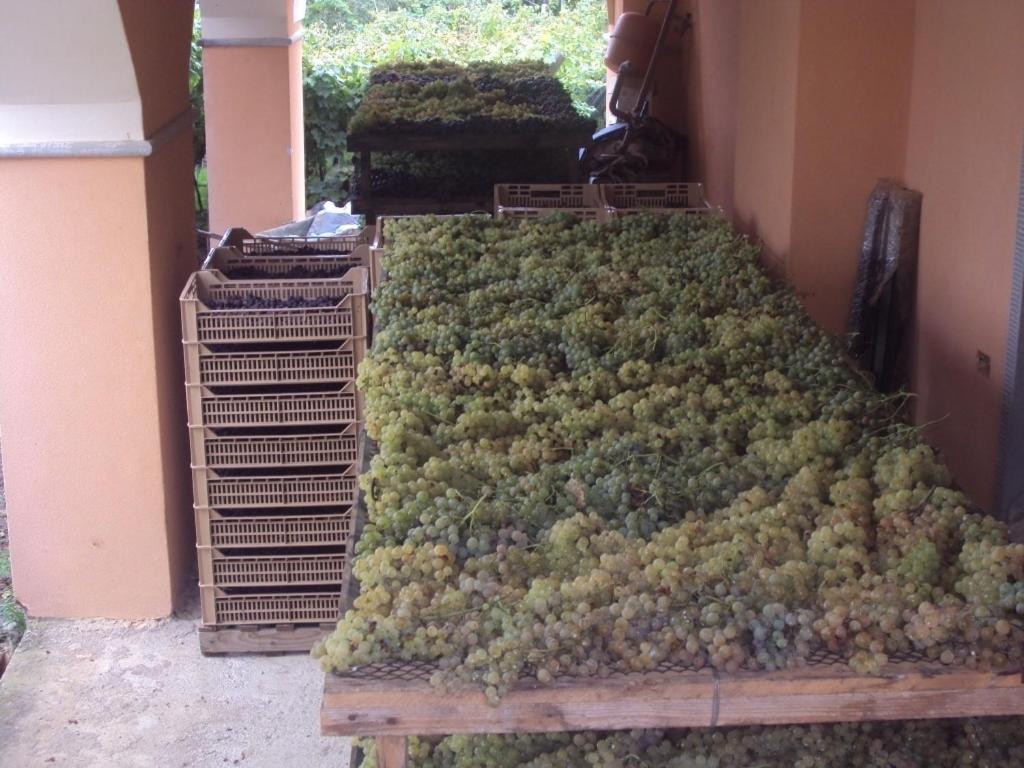 Alloggio per agriturismo La Collina
