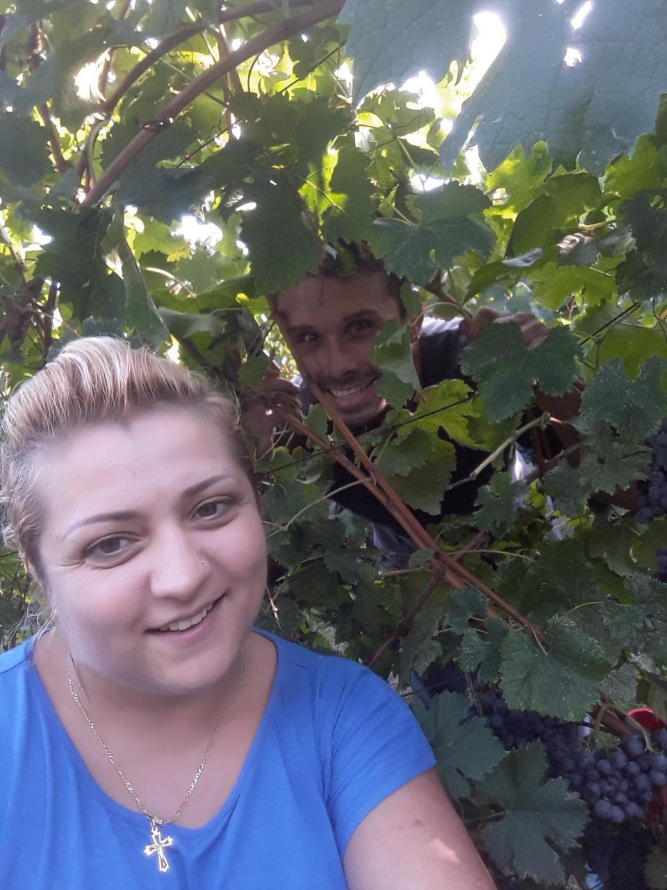 La Collina
